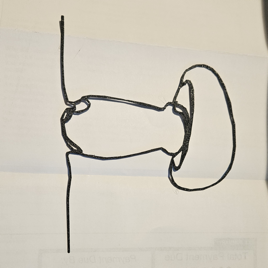 Continuous line art mushroom